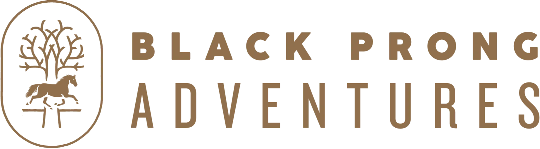 Black Prong Adventures